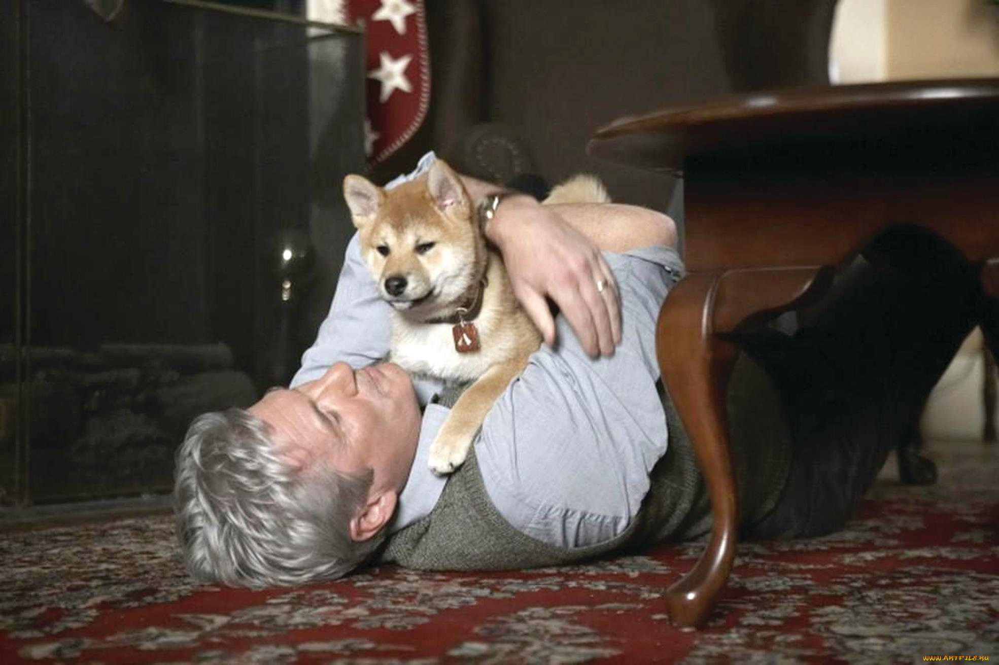  , hachiko,  a dogs story, , , 